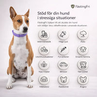 FästingFri – Skydd som håller din hund trygg utomhus